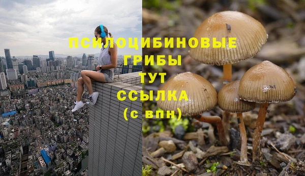 героин Алексин