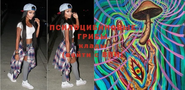 винт Коряжма