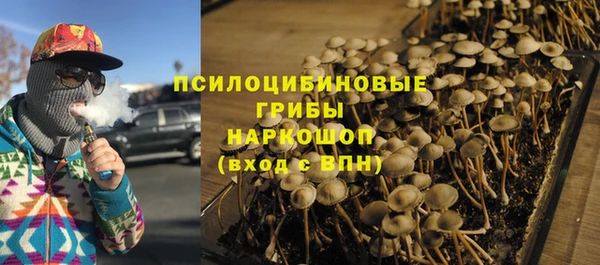хмурый Алзамай