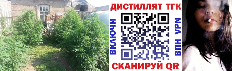 ТГК гашишное масло  Салехард 