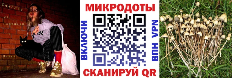 Галлюциногенные грибы GOLDEN TEACHER  Салехард 