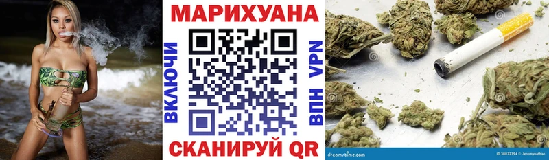 Шишки марихуана планчик  Салехард 